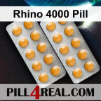 Rhino 4000 Pill 487