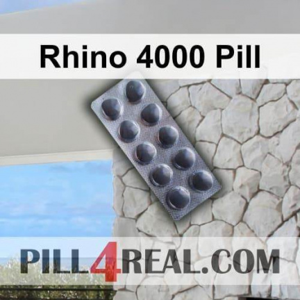 Rhino 4000 Pill 536