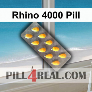 Rhino 4000 Pill 548