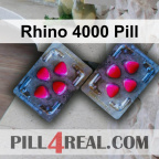 Rhino 4000 Pill 647