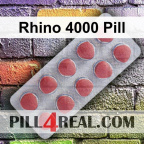 Rhino 4000 Pill 660