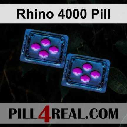 Rhino 4000 Pill 738