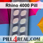Rhino 4000 Pill 844