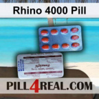 Rhino 4000 Pill 880