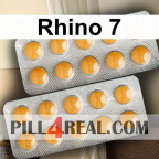 Rhino 7 073