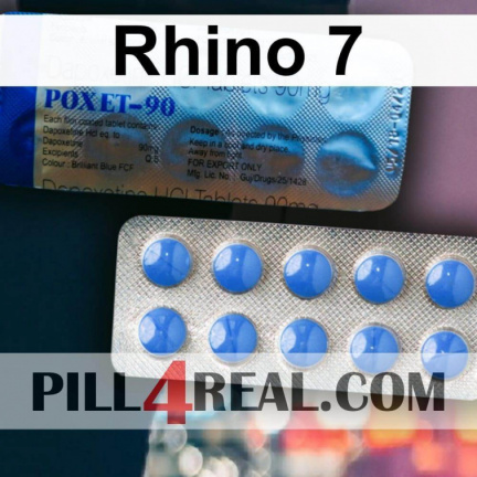 Rhino 7 299