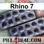 Rhino 7 447