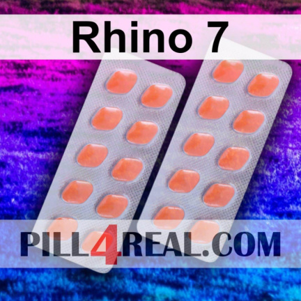 Rhino 7 568
