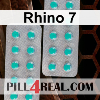 Rhino 7 643