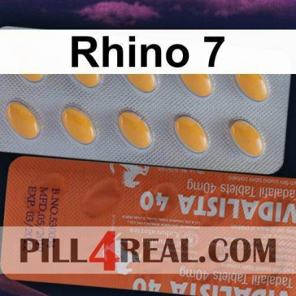 Rhino 7 713