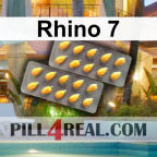 Rhino 7 737
