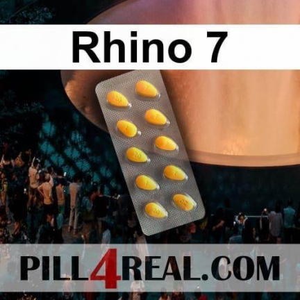 Rhino 7 817
