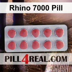 Rhino 7000 Pill 022