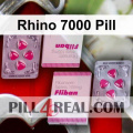 Rhino 7000 Pill 071