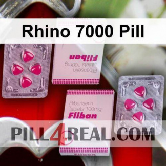 Rhino 7000 Pill 071