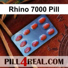 Rhino 7000 Pill 179