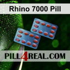 Rhino 7000 Pill 691