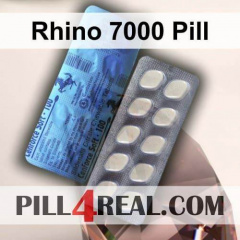 Rhino 7000 Pill 764