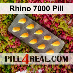Rhino 7000 Pill 767