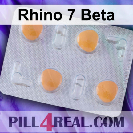 Rhino 7 Beta 096