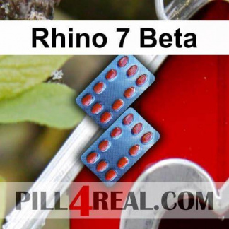 Rhino 7 Beta 169