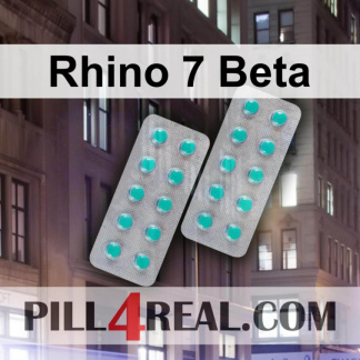 Rhino 7 Beta 254