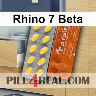 Rhino 7 Beta 293