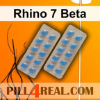 Rhino 7 Beta 485