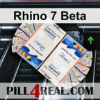 Rhino 7 Beta 505