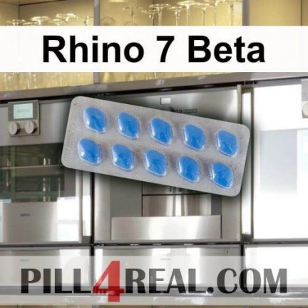 Rhino 7 Beta 545