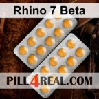 Rhino 7 Beta 561