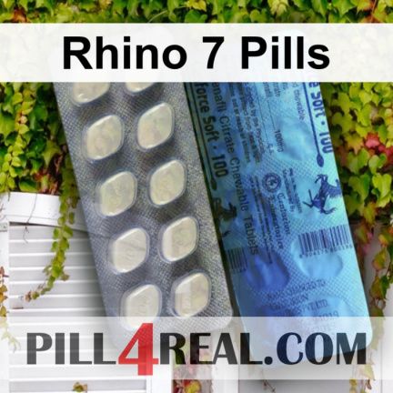 Rhino 7 Pills 948