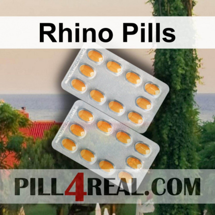 Rhino Pills 477