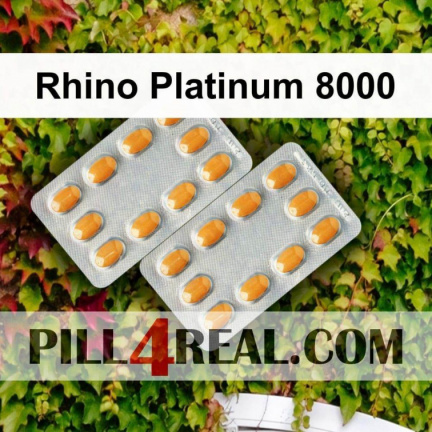 Rhino Platinum 8000 018