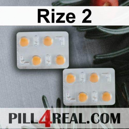 Rize 2 154