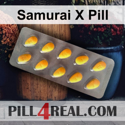 Samurai X Pill 542