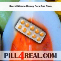 Secret Miracle Honey Para Que Sirve 198