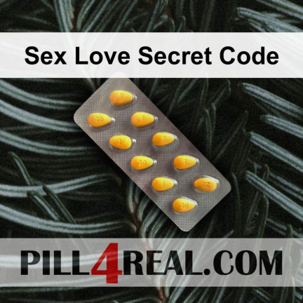 Sex Love Secret Code 849