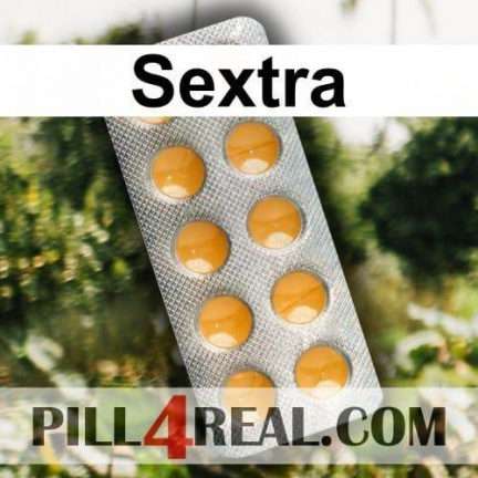 Sextra 493