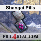 Shangai Pills 066
