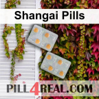 Shangai Pills 706