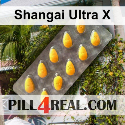 Shangai Ultra X 002