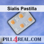 Sialis Pastilla 487