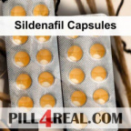 Sildenafil Capsules 351