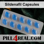 Sildenafil Capsules 463