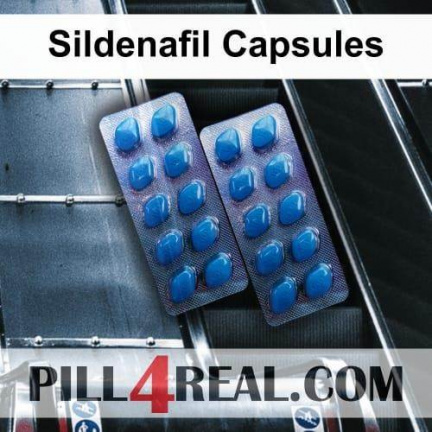 Sildenafil Capsules 036