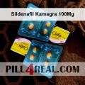 Sildenafil Kamagra 100Mg 057