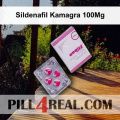 Sildenafil Kamagra 100Mg 088