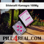 Sildenafil Kamagra 100Mg 088
