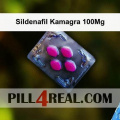 Sildenafil Kamagra 100Mg 183